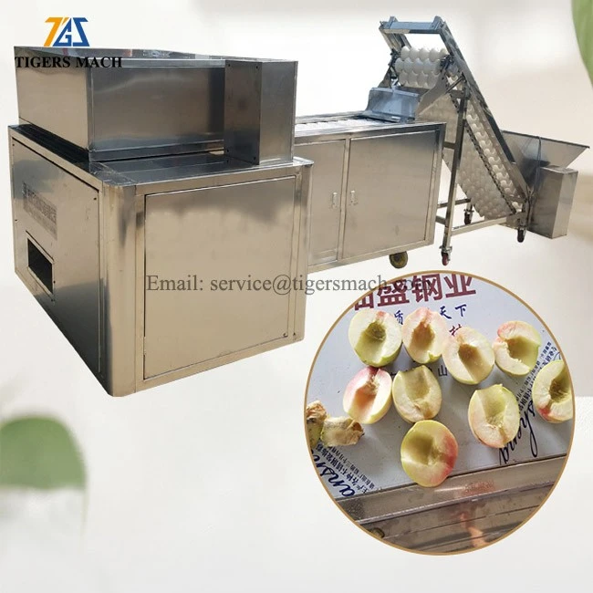 Peach Pitting Machine