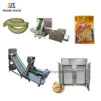Linha de processo de secagem de chips de banana