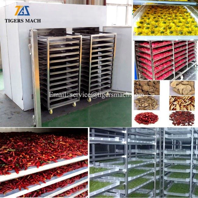 Date Dryer Machine (2)