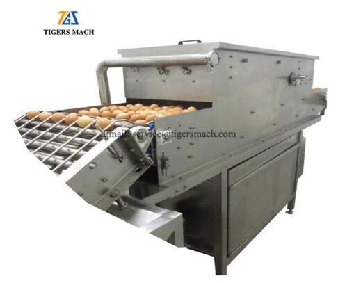 automatic egg cleaner machine price automatic egg cleaner machine price